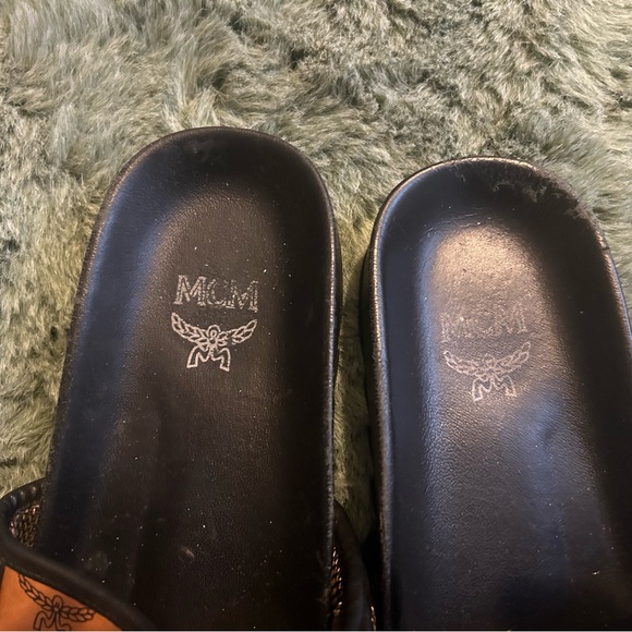 MCM Slides - Picture 3 of 3
